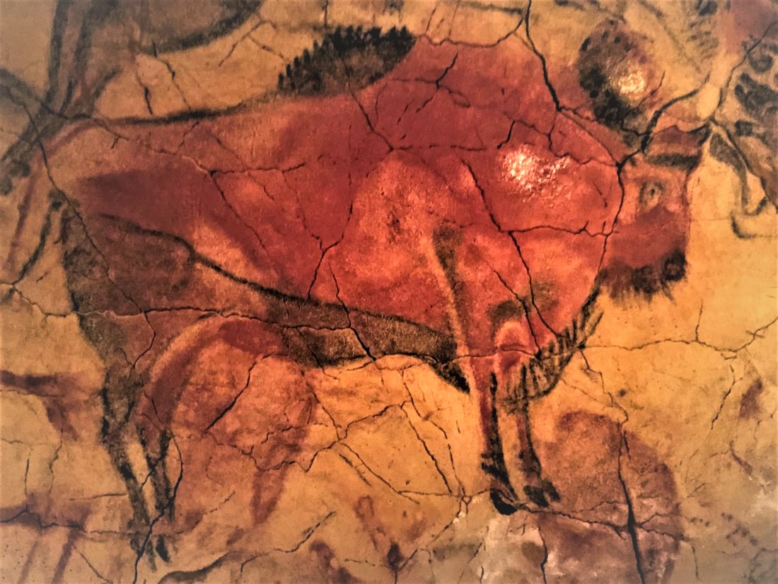 Lee más sobre el artículo Cómo visitar Altamira, museo nacional y centro de investigación