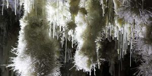 Lee más sobre el artículo El Soplao, una cueva de «Alí Babá» en Cantabria